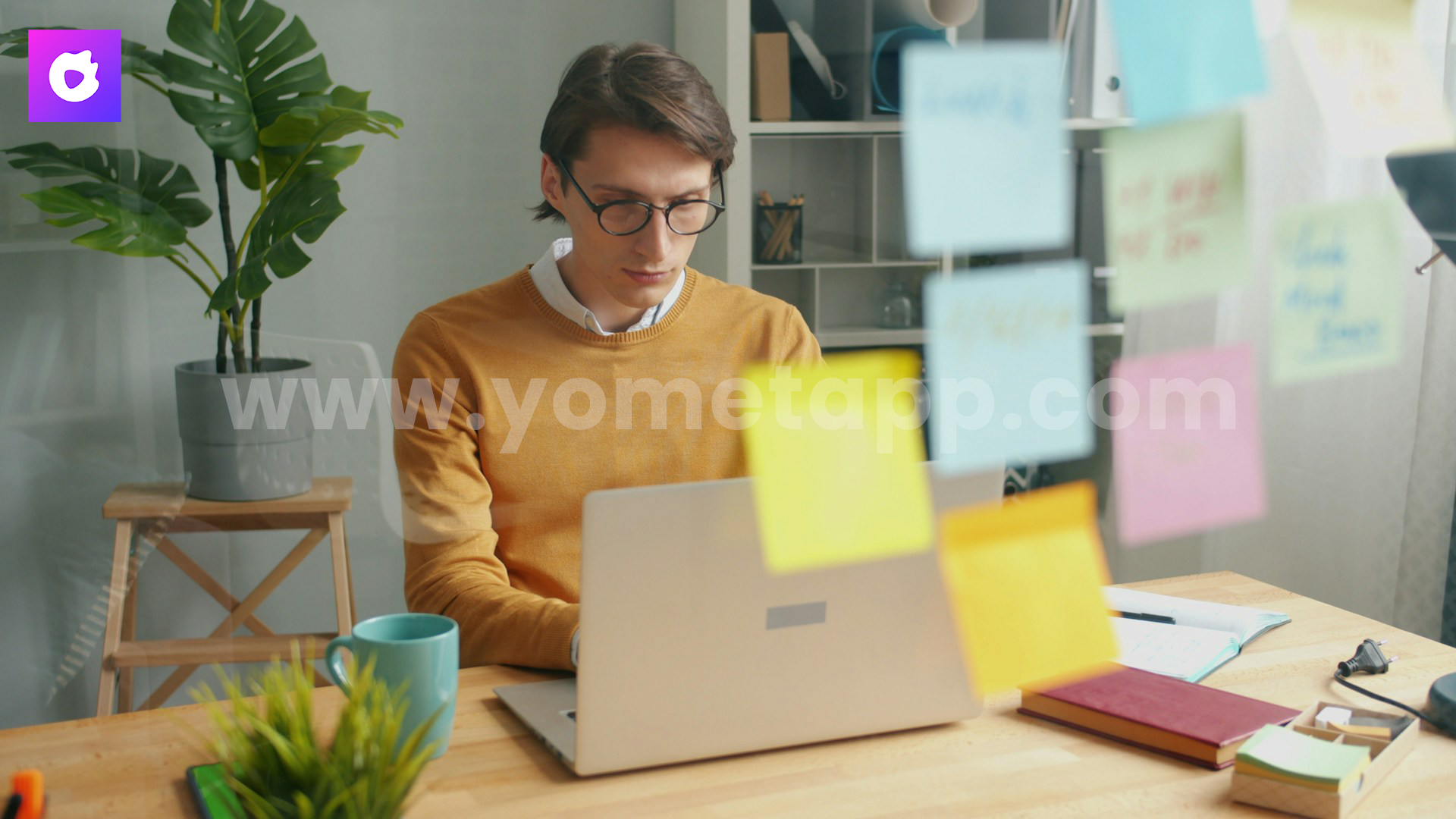 Your Host's Brand is More Than Just Live Streams