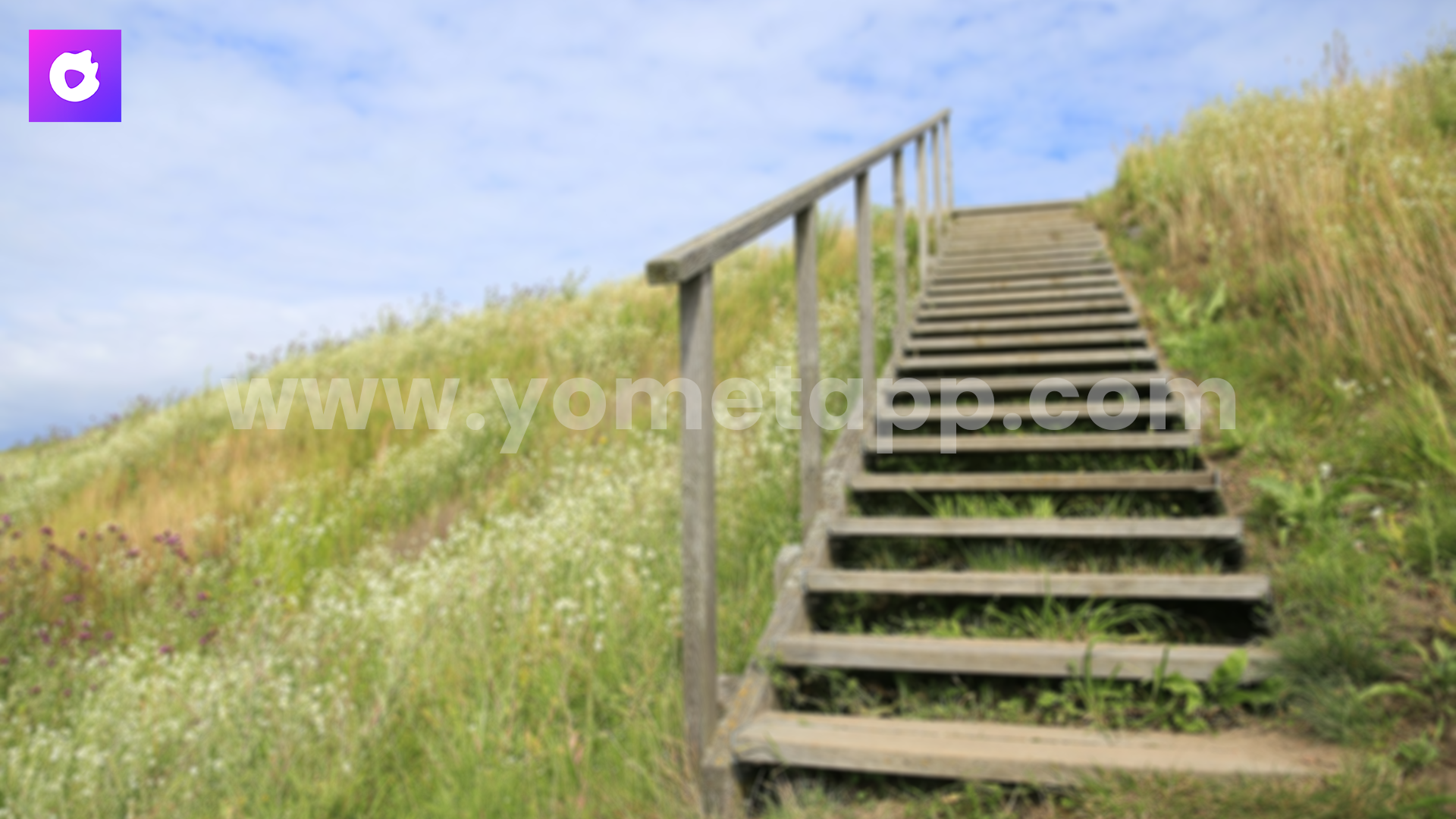 Tips to Increase Your Yomet Live Host Level