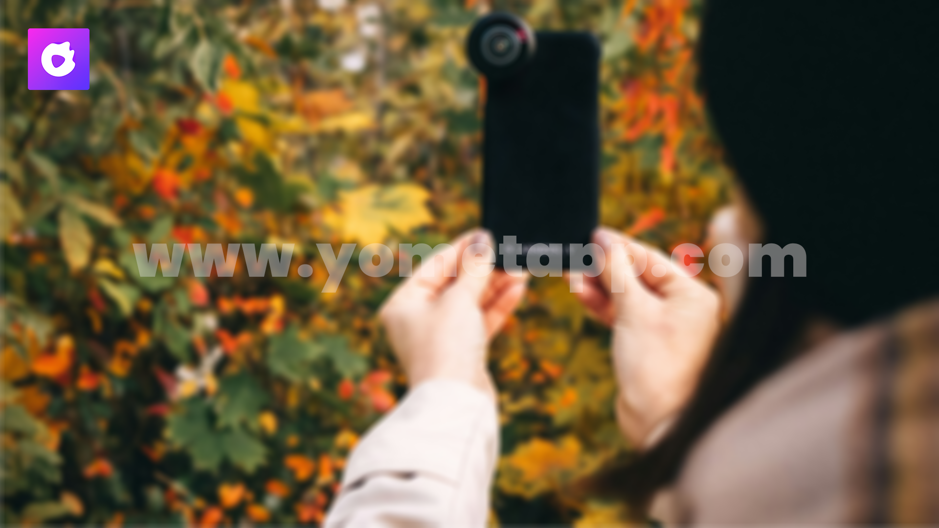 Basic Morning Live Stream Routines for Yomet Live Hosts